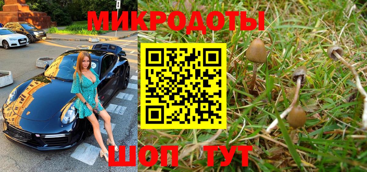 Псилоцибиновые грибы прущие грибы Серов